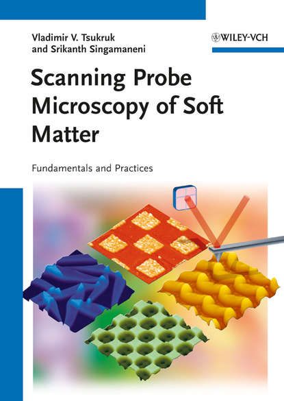 Скачать книгу Scanning Probe Microscopy of Soft Matter. Fundamentals and Practices