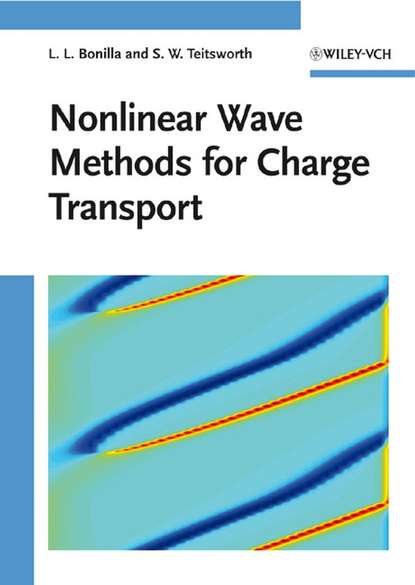 Скачать книгу Nonlinear Wave Methods for Charge Transport