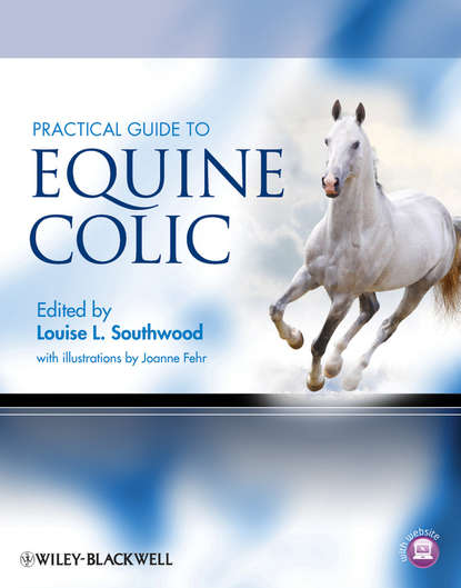 Скачать книгу Practical Guide to Equine Colic