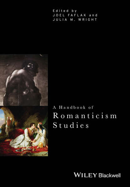 Скачать книгу A Handbook of Romanticism Studies