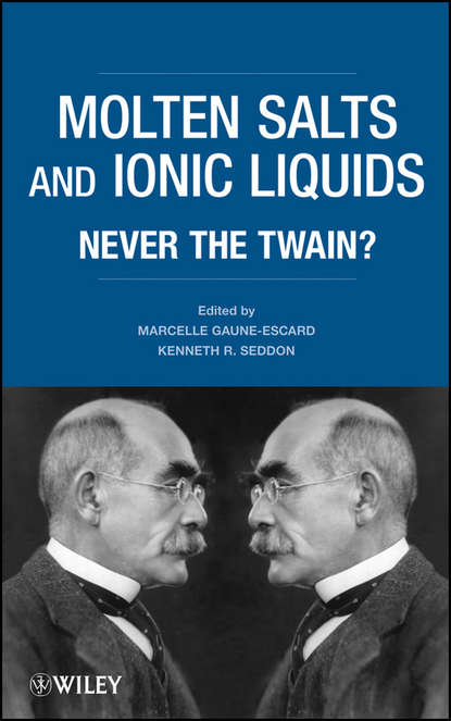 Скачать книгу Molten Salts and Ionic Liquids. Never the Twain?