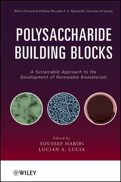 Скачать книгу Polysaccharide Building Blocks. A Sustainable Approach to the Development of Renewable Biomaterials