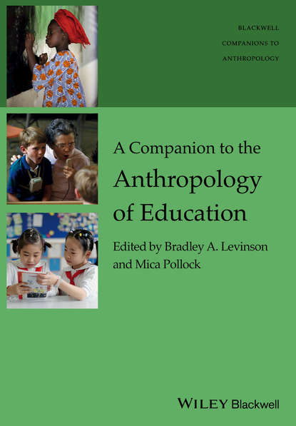 Скачать книгу A Companion to the Anthropology of Education