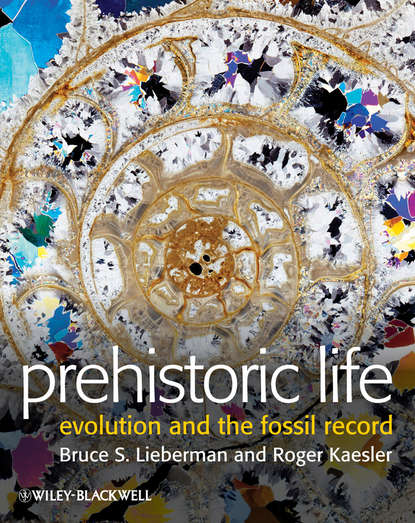 Скачать книгу Prehistoric Life. Evolution and the Fossil Record