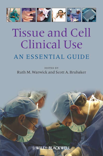 Скачать книгу Tissue and Cell Clinical Use. An Essential Guide