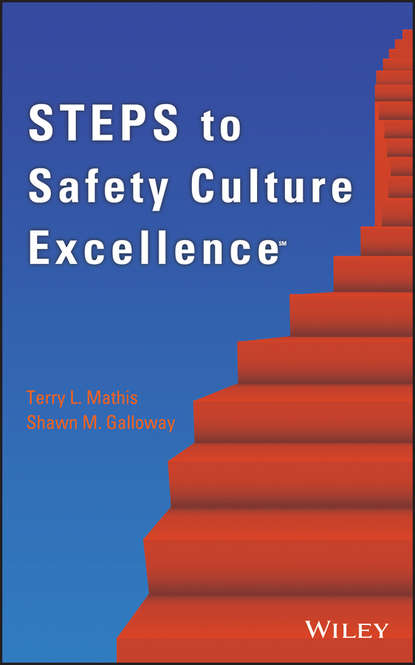 Скачать книгу Steps to Safety Culture Excellence