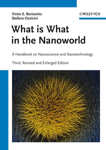 Скачать книгу What is What in the Nanoworld. A Handbook on Nanoscience and Nanotechnology