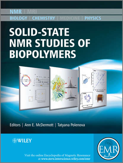 Скачать книгу Solid State NMR Studies of Biopolymers