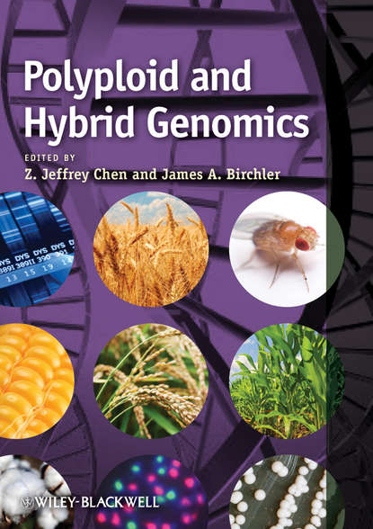 Скачать книгу Polyploid and Hybrid Genomics