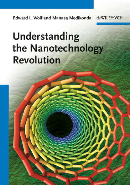 Скачать книгу Understanding the Nanotechnology Revolution