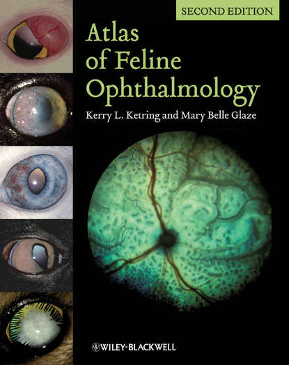 Скачать книгу Atlas of Feline Ophthalmology