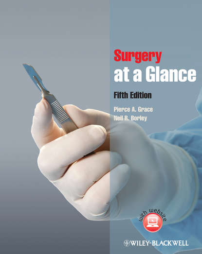 Скачать книгу Surgery at a Glance
