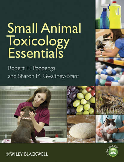 Скачать книгу Small Animal Toxicology Essentials