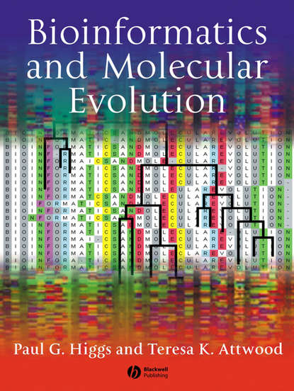 Скачать книгу Bioinformatics and Molecular Evolution