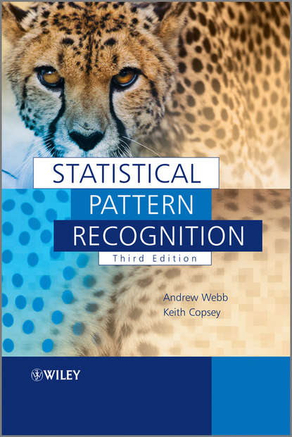 Скачать книгу Statistical Pattern Recognition