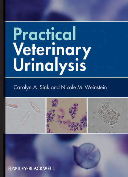 Скачать книгу Practical Veterinary Urinalysis