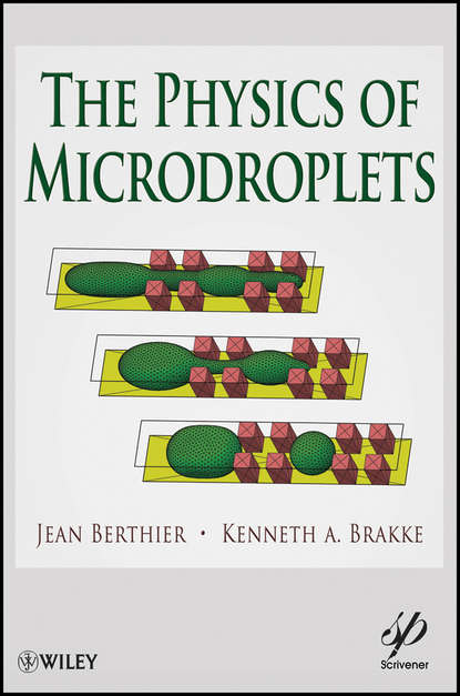 Скачать книгу The Physics of Microdroplets