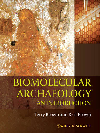 Скачать книгу Biomolecular Archaeology. An Introduction