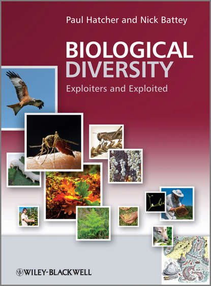 Скачать книгу Biological Diversity. Exploiters and Exploited