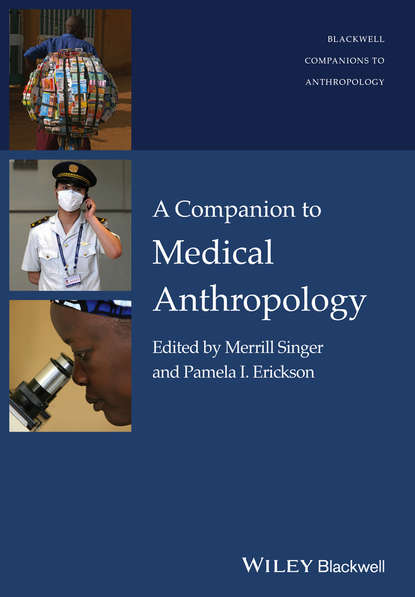 Скачать книгу A Companion to Medical Anthropology