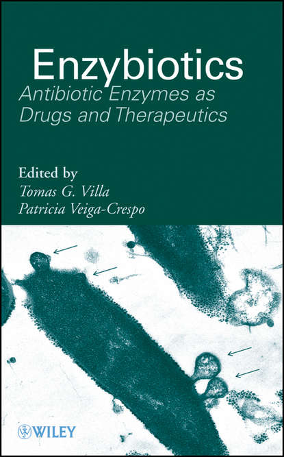 Скачать книгу Enzybiotics. Antibiotic Enzymes as Drugs and Therapeutics
