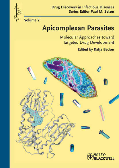 Скачать книгу Apicomplexan Parasites. Molecular Approaches toward Targeted Drug Development
