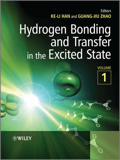 Скачать книгу Hydrogen Bonding and Transfer in the Excited State