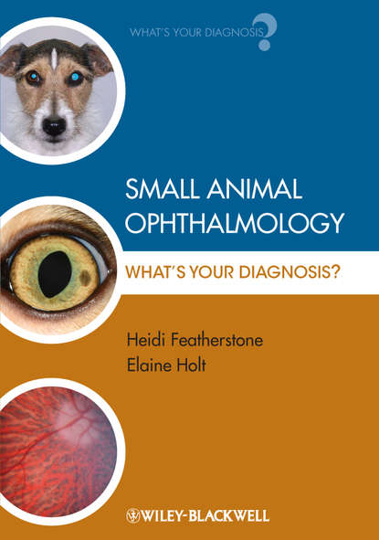 Скачать книгу Small Animal Ophthalmology. What's Your Diagnosis?
