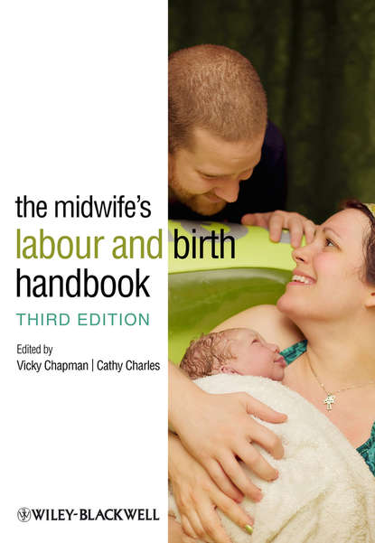 Скачать книгу The Midwife's Labour and Birth Handbook