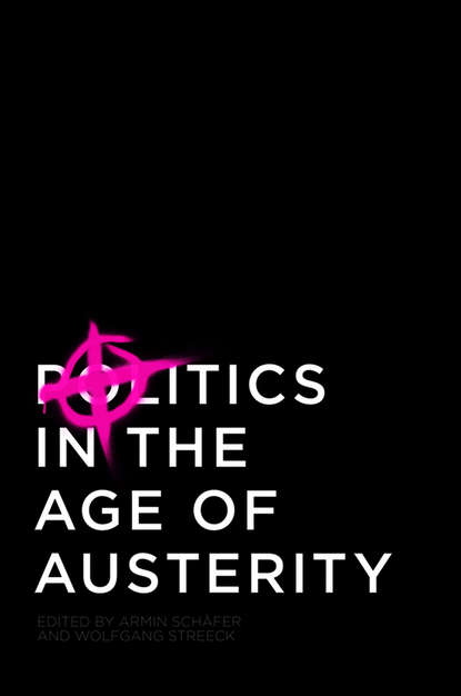 Скачать книгу Politics in the Age of Austerity