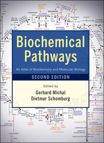 Скачать книгу Biochemical Pathways. An Atlas of Biochemistry and Molecular Biology