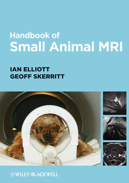 Скачать книгу Handbook of Small Animal MRI