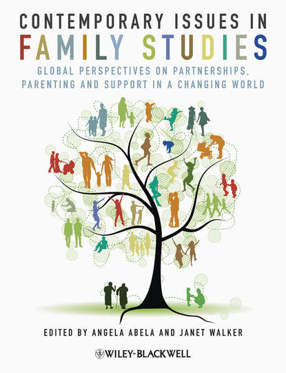 Скачать книгу Contemporary Issues in Family Studies. Global Perspectives on Partnerships, Parenting and Support in a Changing World