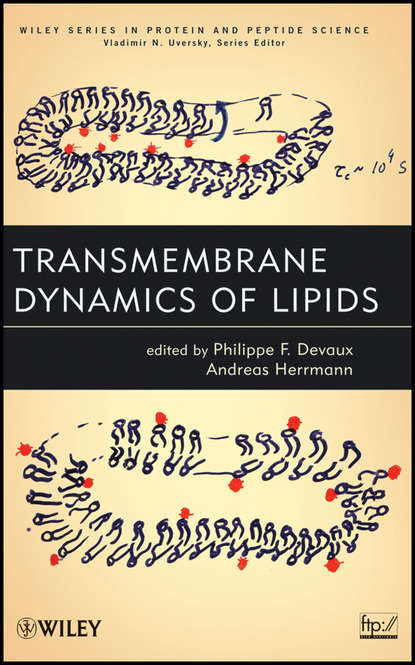 Скачать книгу Transmembrane Dynamics of Lipids