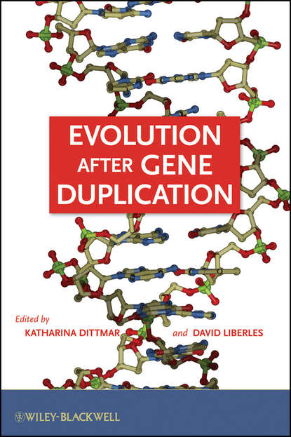 Скачать книгу Evolution after Gene Duplication