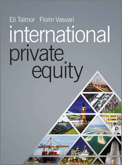 Скачать книгу International Private Equity
