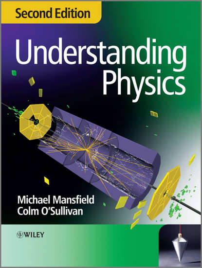 Скачать книгу Understanding Physics