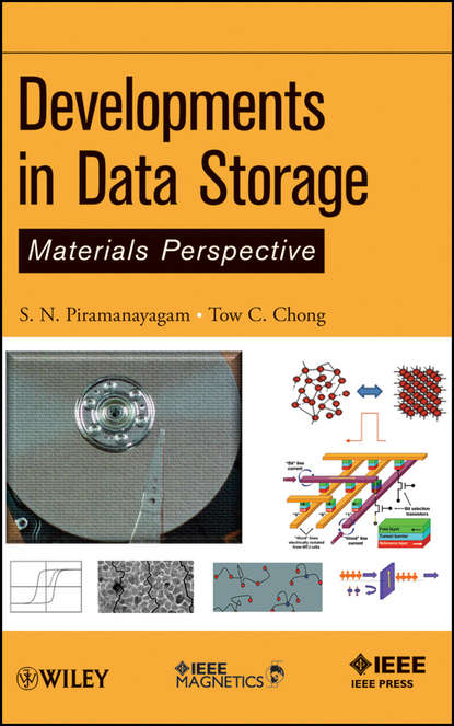 Скачать книгу Developments in Data Storage. Materials Perspective