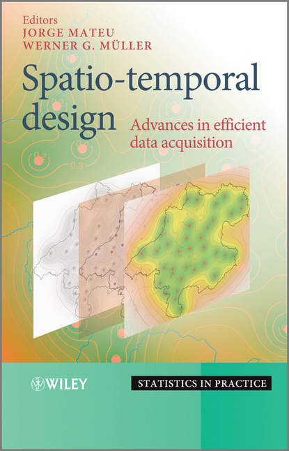 Скачать книгу Spatio-temporal Design. Advances in Efficient Data Acquisition