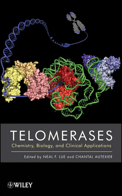 Скачать книгу Telomerases. Chemistry, Biology and Clinical Applications