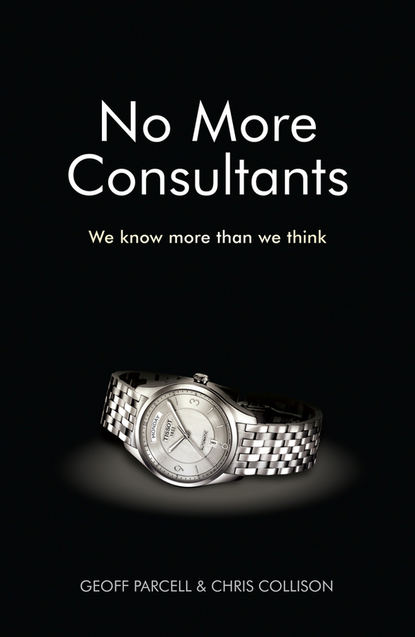 Скачать книгу No More Consultants. We Know More Than We Think