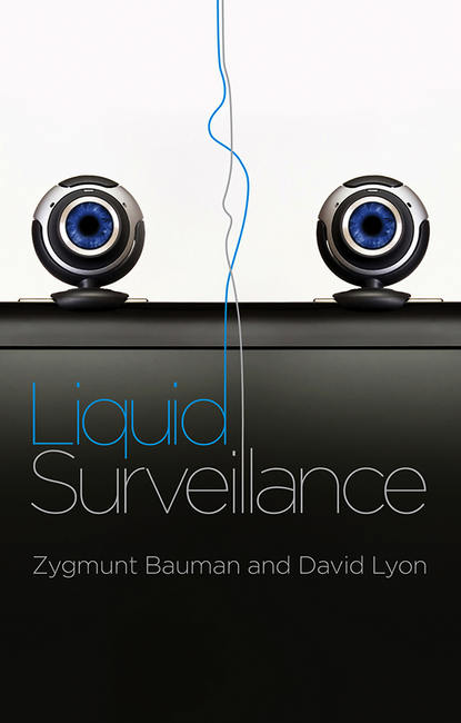 Скачать книгу Liquid Surveillance. A Conversation