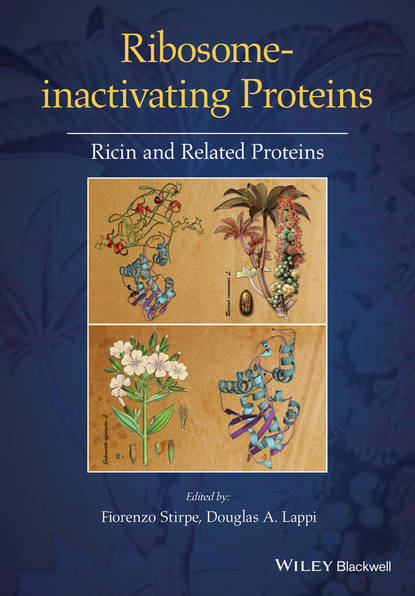 Скачать книгу Ribosome-inactivating Proteins. Ricin and Related Proteins