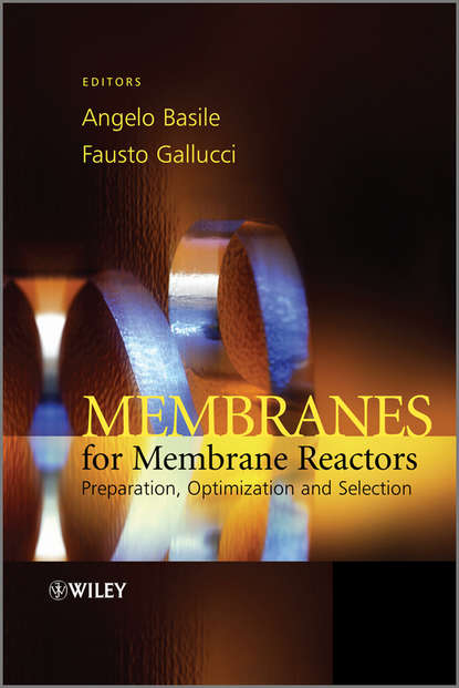 Скачать книгу Membranes for Membrane Reactors. Preparation, Optimization and Selection