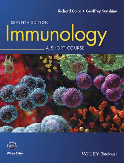 Скачать книгу Immunology. A Short Course