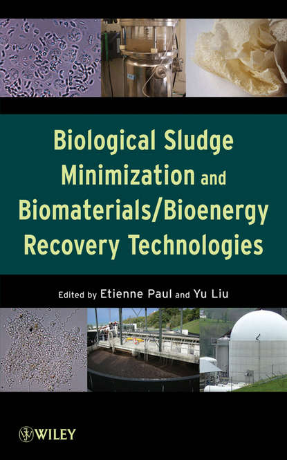 Скачать книгу Biological Sludge Minimization and Biomaterials/Bioenergy Recovery Technologies