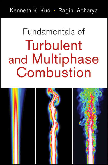 Скачать книгу Fundamentals of Turbulent and Multi-Phase Combustion