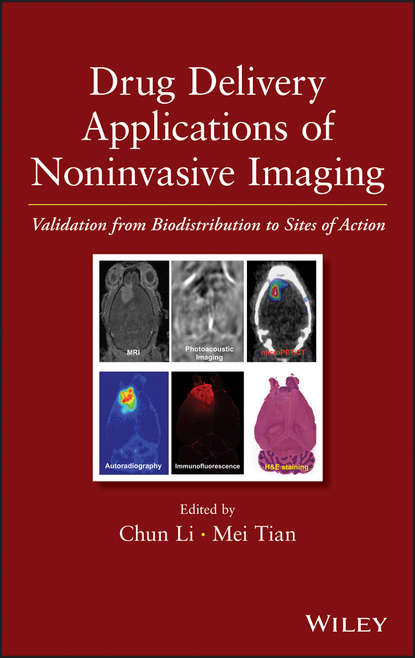 Скачать книгу Drug Delivery Applications of Noninvasive Imaging. Validation from Biodistribution to Sites of Action