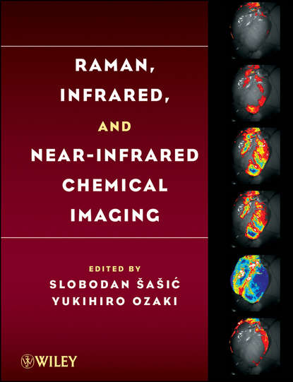 Скачать книгу Raman, Infrared, and Near-Infrared Chemical Imaging
