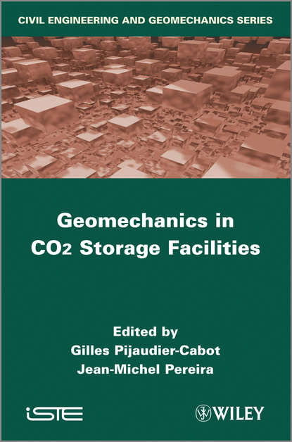 Скачать книгу Geomechanics in CO2 Storage Facilities